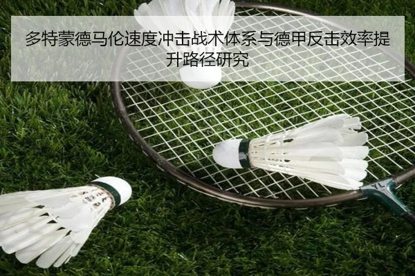 多特蒙德马伦速度冲击战术体系与德甲反击效率提升路径研究